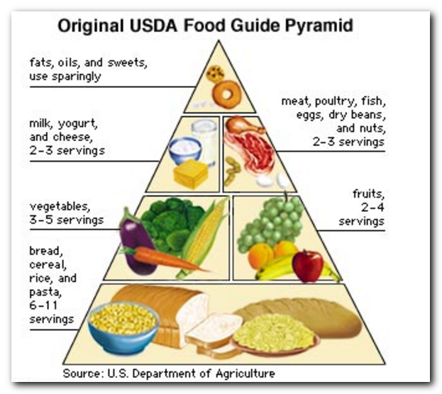 Your Guide to the Senior Food Guide Pyramid For In-Home