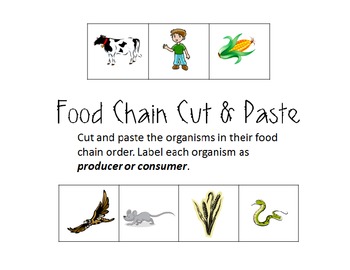 Food Chain Food Web Worksheets #6 Worksheet