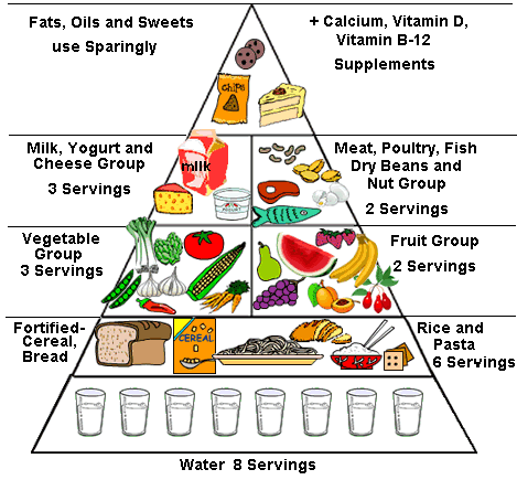 Serving Sizes In The Food Guide Pyramid And On Food Labels