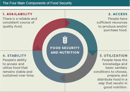 INFORMATION SYSTEMS FOR FOOD SECURITY AND NUTRITION