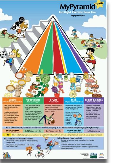 Life stages Older adults