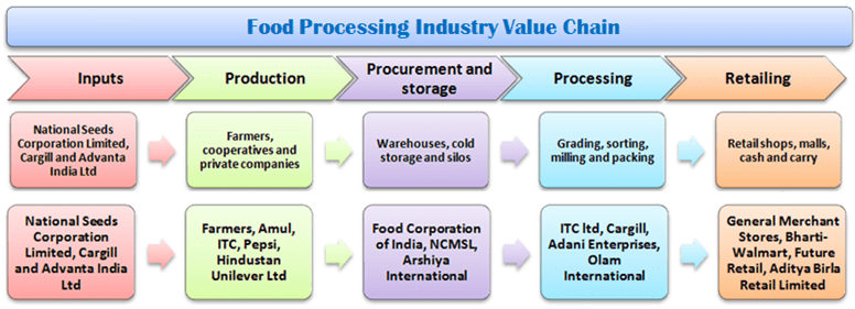 Cashew Nut Plant Project Report Discover Food Tech