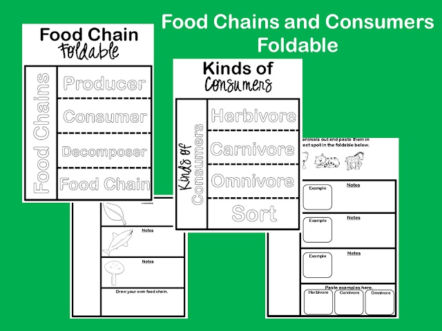 Building food webs cut + paste HT by HarrisSchool