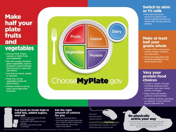 Adults Choose MyPlate