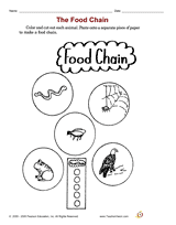 Organisms in a Food Chain Sort Cut & Paste Producer